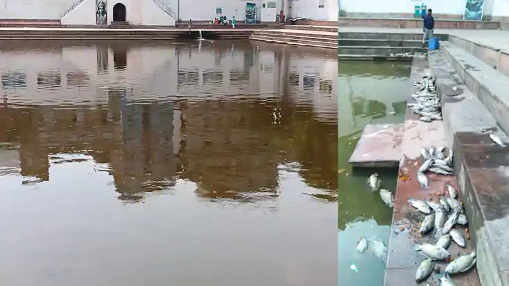 Bihar News : गयाजी के प्रसिद्ध सूर्यकुंड में गर्मी ने बरपाया Bihar News : गयाजी के प्रसिद्ध सूर्यकुंड में गर्मी ने बरपाया