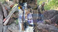 CRPF Search Operation Gaya 