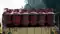 LPG Price Today