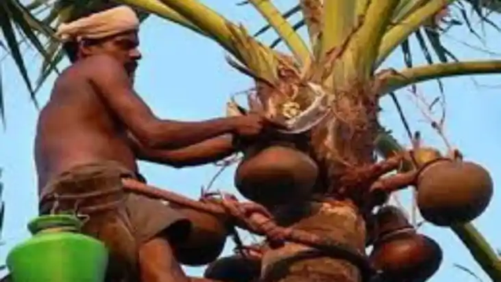 Bihar Sells Over 32 Lakh Litres of Neera This Season