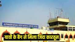 जिंदा कारतूस 
