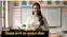 Bihar Teacher News