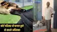 Dog fear - कोर्ट कैंपस में पागल कुत्ते का आतंक, वकील और पेशकार सहित आधा दर्जन हो गए शिकार