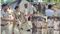 Dhamdaha Purnea Land Dispute