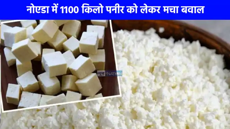 UP NEWS: नोएडा में 1100 किलो नकली पनीर का मामला गरमाया, BJP 