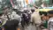 शिक्षक गुरू रहमान सहित कई टीचरों और हजारों छात्रों के खिलाफ पुलिस ने दर्ज की प्राथमिकी, इस मामले में की गई कार्रवाई