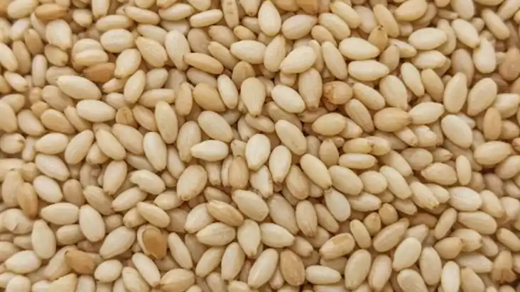 Seasame Seed