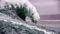 The earth will tremble the sea 