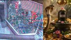 7 Lakh Kanwariyas Throng Garib Nath Temple on Sawan Somwari