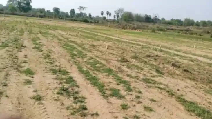 Bihar Land News: बिहार में अब नहीं खरीद पाएंगे जमीन! चार गुण