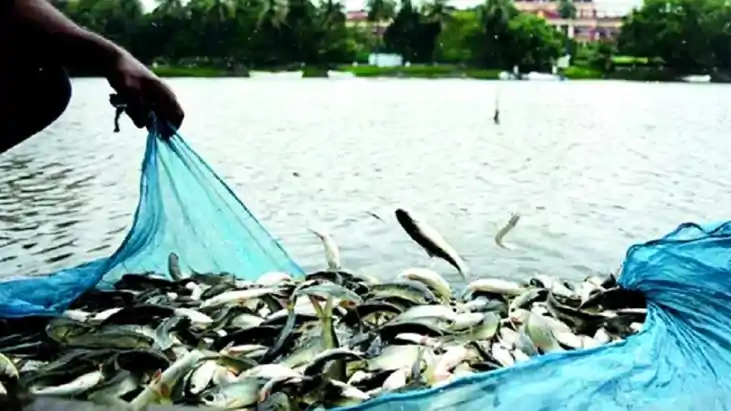 Bihar News : बिहार में मछुआरों के लिए सरकार ने की नई योजना क