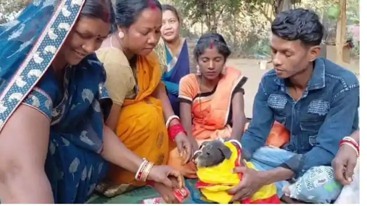 मासूमों की 'अनोखी बारात':दो मासूमों की कुतिया से कराई गई शाद