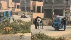 Bihar Crime : मुजफ्फरपुर में बेखौफ अपराधी ने पुलिस को मारी गोली, जवाबी कार्रवाई में मारा गया कुख्यात पप्पू सहनी 