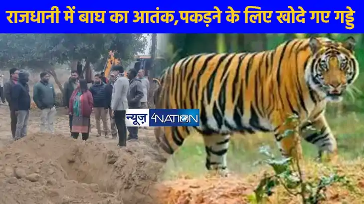 UP NEWS: लखनऊ में बाघ का आतंक, इन इलाकों में बंद रहेंगे स्कू