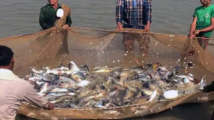 Bihar News : मछली उत्पादन में बिहार का जलवा, एक दशक में दोगु