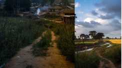 Bihar Weather Cold Mornings Sunny Afternoons 7 Day Forecas