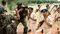 Bihar police commando training - बिहार पुलिस के लिए कमांडो तैयार करेगी सीआरपीएफ, यूपी में होगी 44 महीने तक ट्रेनिंग, इन आधुनिक हथियारों से लैस होंगे जवान
