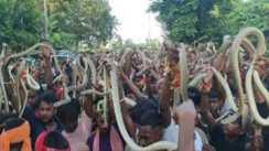 Snake Fair
