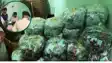  saran drug department raid ekma suspicious medicines sealed