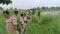 15 Year Old Drowns in Pandai River Search Operation Underway