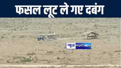 भागलपुर में पुलिस के सामने दबंगों ने लूट ली किसान की फसल, पीड़ित ने एसपी से न्याय की लगाई गुहार 