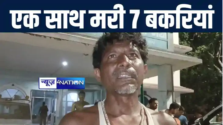 बोधगया में एक साथ मरी सात बकरियाँ, मालिक ने दवाई देकर मारने 