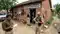 patna stf raid katihar chain snatching accused aryan kumar absconding