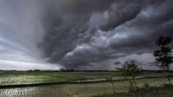 Weather News : देश में मॉनसून की रफ्तार पर लगा 'ब्रेक', 'मॉनसून पॉज' से बढ़ी किसानों और मौसम वैज्ञानिकों की चिंता