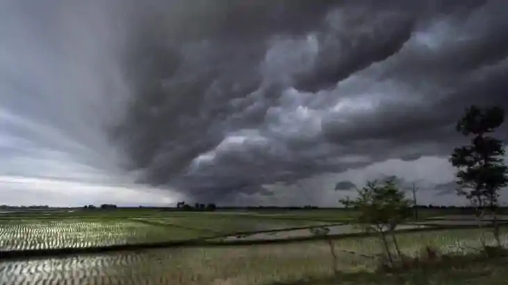 Weather News : देश में मॉनसून की रफ्तार पर लगा 'ब्रेक', 'मॉन