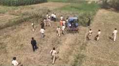 Bihar Crime News : नालंदा में अफीम की खेती पर कसा शिकंजा, 10 कट्ठा में लहलहाती फसल को पुलिस ने ट्रैक्टर से रौंदा