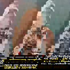 Nitish Silence Signals Big Move After Rajya Sabha Win