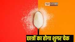 sugar board in school