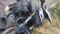 Speed Horror In Fatuha Claims Life Of Young Bike Rider