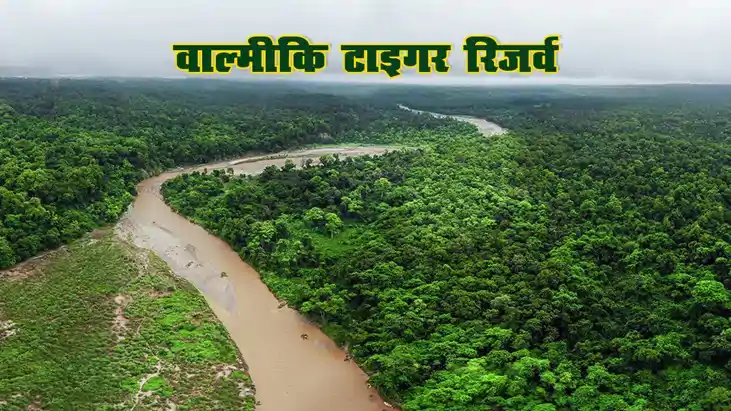 बिहार के इकलौते टाइगर रिजर्व में इस दिन से फिर लें जंगल सफार