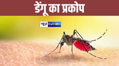 Dengue outbreak in Bihar