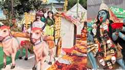 Bihar Durga Puja: नालंदा में पट खुलते ही उमड़ा आस्था का सैलाब, मां दुर्गा के दर्शन को टूट पड़े श्रद्धालु, रंगीन रोशनी से जगमगाया शहर