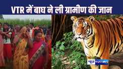 TIGER KILLED MAN : वाल्मिकी टाइगर रिजर्व से सटे गांव में बाघ ने ली ग्रामीण की जान, गन्ने के खेत में लाश मिलने से दहशत में गांव के लोग