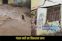West Champaran Floods