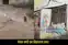 West Champaran Floods