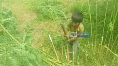 Aurangabad Minors Allegedly Put to Work at Govt Farm Office