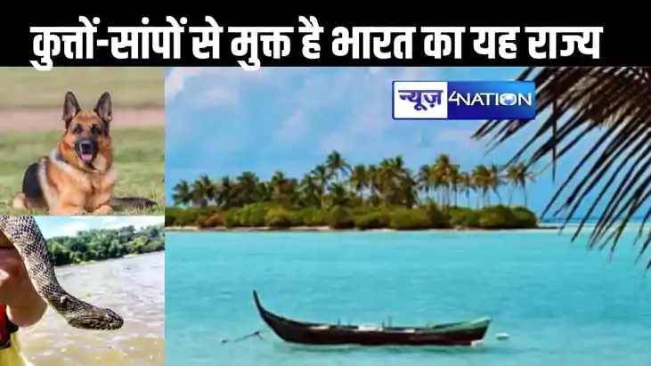 भारत के यह इकलौता राज्य, जहां नहीं मिलता कोई सांप, कुत्तों क