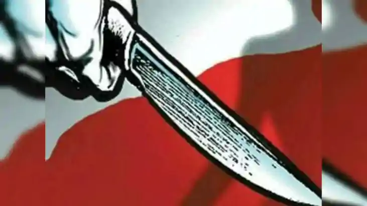 जबरन संबंध बनाना चाहता था मामा : भांजी ने दी ऐसी मौत, देखकर 