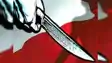Bihar Crime : दिनदहाड़े डबल मर्डर से दहला मुजफ्फरपुर, बदमाश ने चाकू मारकर की दादा और पोती की हत्या, इलाके में मचा हड़कंप 
