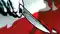 Bihar Crime : दिनदहाड़े डबल मर्डर से दहला मुजफ्फरपुर, बदमाश ने चाकू मारकर की दादा और पोती की हत्या, इलाके में मचा हड़कंप 