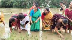Bihar News : महाकार में विधायक दीपा मांझी ने खेत में उतरकर की धान की रोपनी, महिलाओं संग गूंजे पारंपरिक लोकगीत