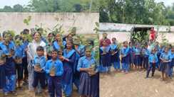 Bikram block plantation news