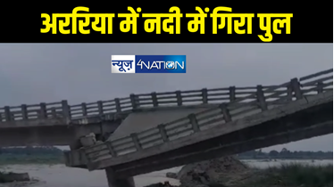 बिहार में फिर गिरा पुल, अररिया में करोड़ों की लागत से बना ब्रिज ध्वस्त, बकरा नदी पर बना था पड़रिया घाट पुल