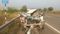 Road accident - हाइवे पर तेज रफ्तार सेडान और पिकअप की भिड़ंत, हादसे में सात लोगों की मौत