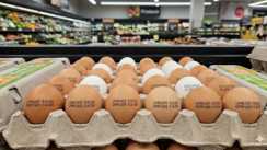 अब हर अंडे पर छपेगी एक्सपायरी डेट, 1 अप्रैल से नियम न मानने वालों की खैर नहीं, सरकार ने मिलावटखोरों पर कसा शिकंजा,