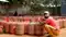 LPG Cylinder Price